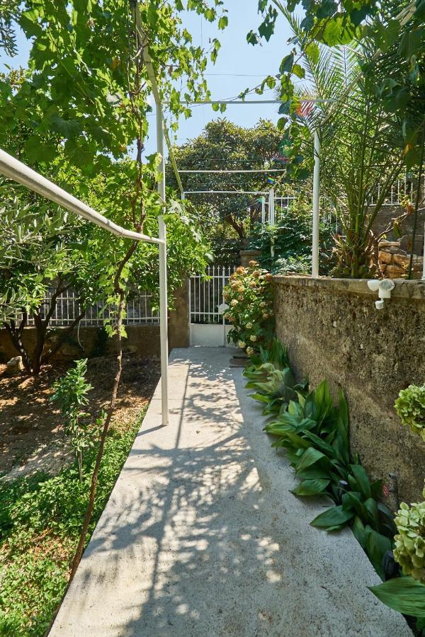 Апартаменты Aspidistra Shadow Дубровник Экстерьер фото