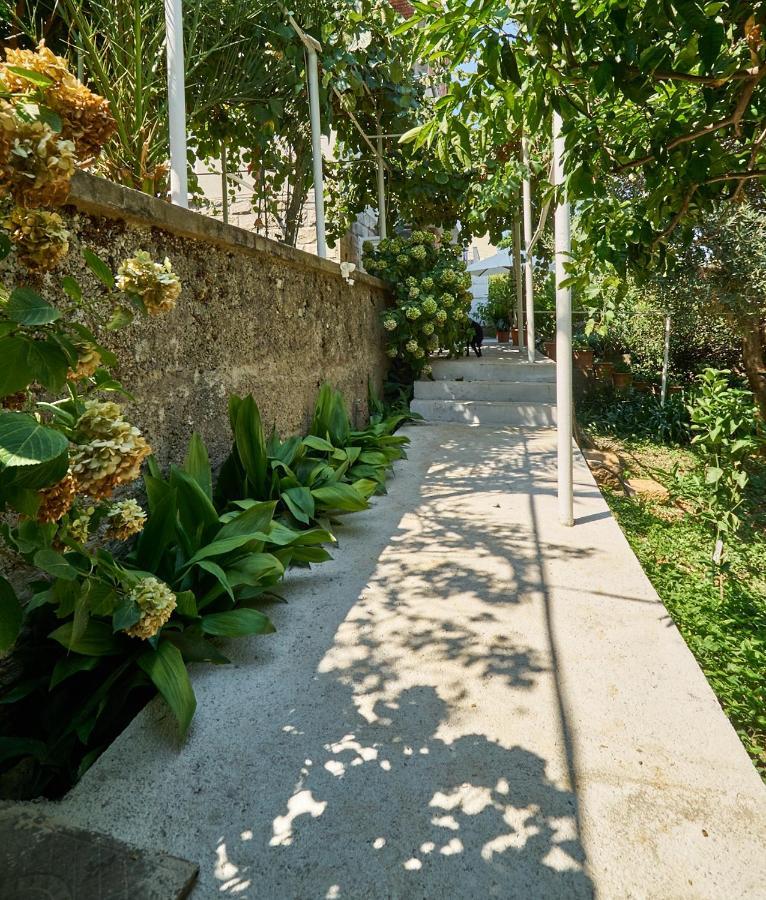 Апартаменты Aspidistra Shadow Дубровник Экстерьер фото